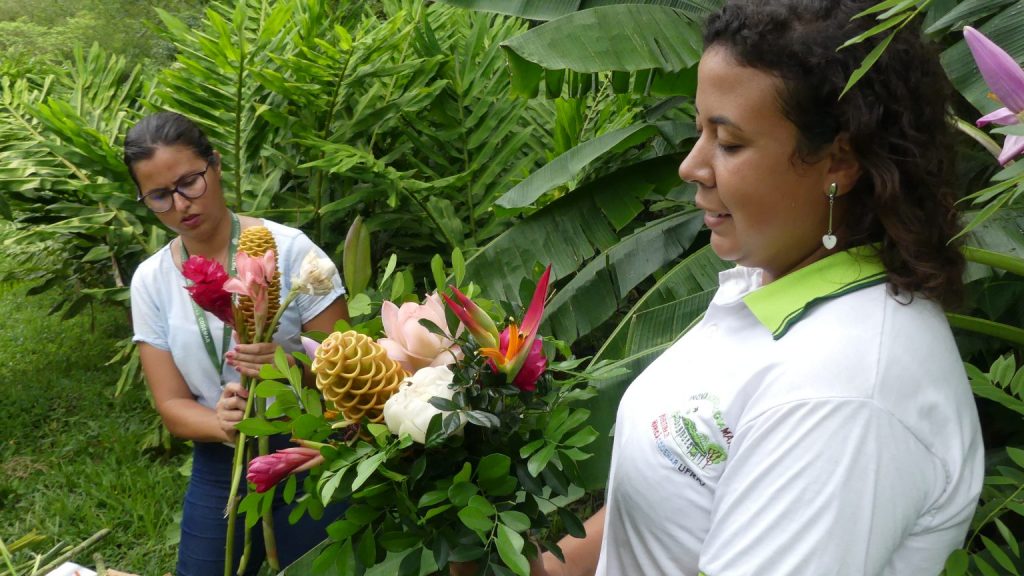 Plantas ornamentais geram emprego e renda em Maricá