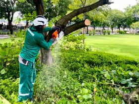 Concessionária de cemitérios do Rio promove trabalho de prevenção