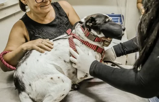 Castramóvel em Itaboraí até 26 de abril