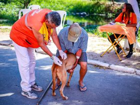 Cães e gatos imunizados contra raiva em Belford Roxo