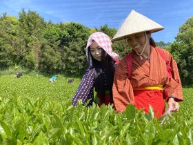 Centro de Memória dos Povos Originários e Tradicionais da Costa Verde