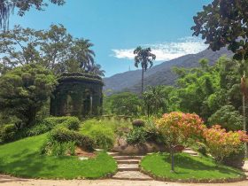 Jardim Botânico da capital tem estudo sobre carbono estocado