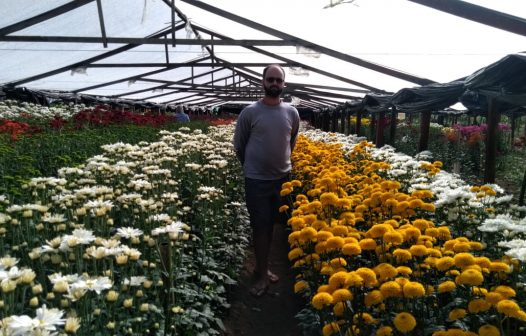 Linha de crédito para produtores de flores é cedida pelo Governo