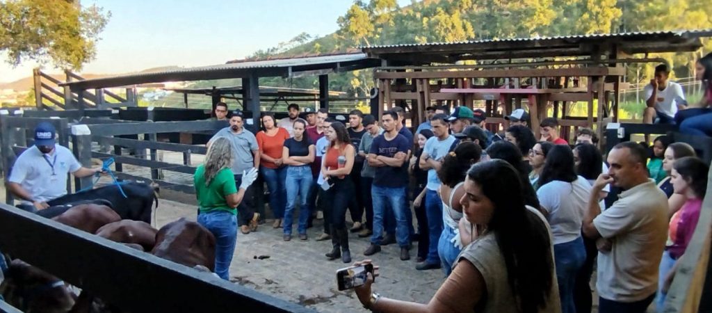 Ações educativas e práticas sustentáveis no campo para crianças e adultos