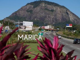 Base de dados sobre a fauna e flora de Maricá é ampliada