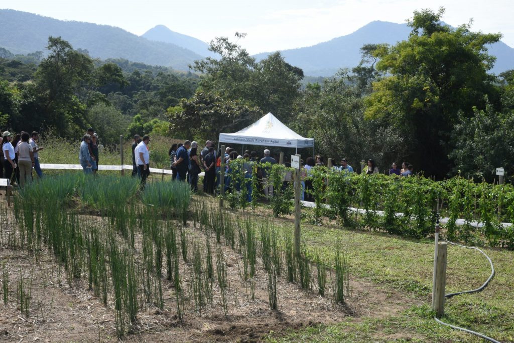 Codemar inaugura uma das maiores farmácias vivas do país