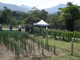 Codemar inaugura uma das maiores farmácias vivas do país