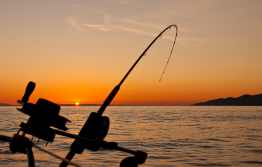 Pesca Legal é relançada por entidades da Baía de Sepetiba