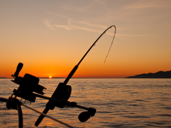 Pesca Legal é relançada por entidades da Baía de Sepetiba