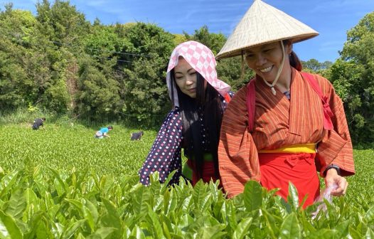 Festa Japão Mazomba celebra cultura japonesa em Itaguaí