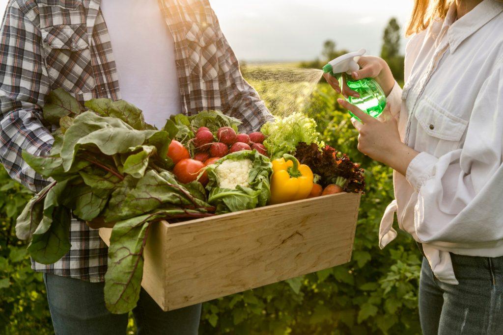 Programa de apoio a agricultores e pescadores artesanais é aprovado