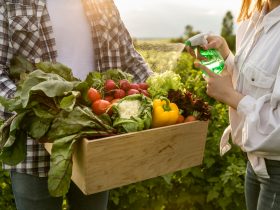 Programa de apoio a agricultores e pescadores artesanais é aprovado