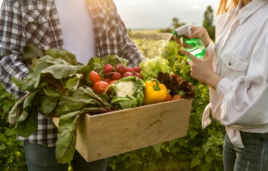 Programa de apoio a agricultores e pescadores artesanais é aprovado