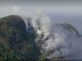 Bombeiros combatem incêndio no Morro das Andorinhas em Niterói