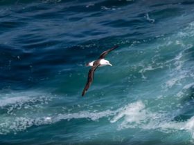 Cabo Frio terá ação no Dia Mundial de Limpeza de Rios e Praias