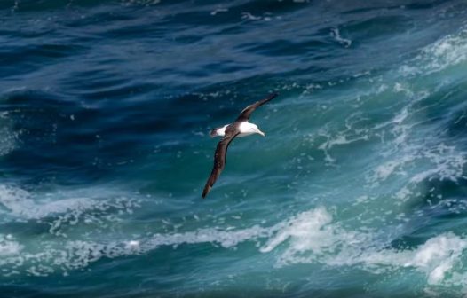 Cabo Frio terá ação no Dia Mundial de Limpeza de Rios e Praias