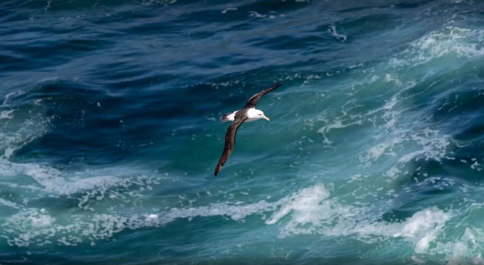 Cabo Frio terá ação no Dia Mundial de Limpeza de Rios e Praias