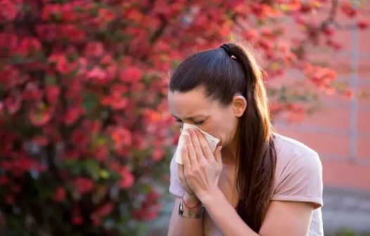 Campos alerta para a prevenção das doenças de primavera