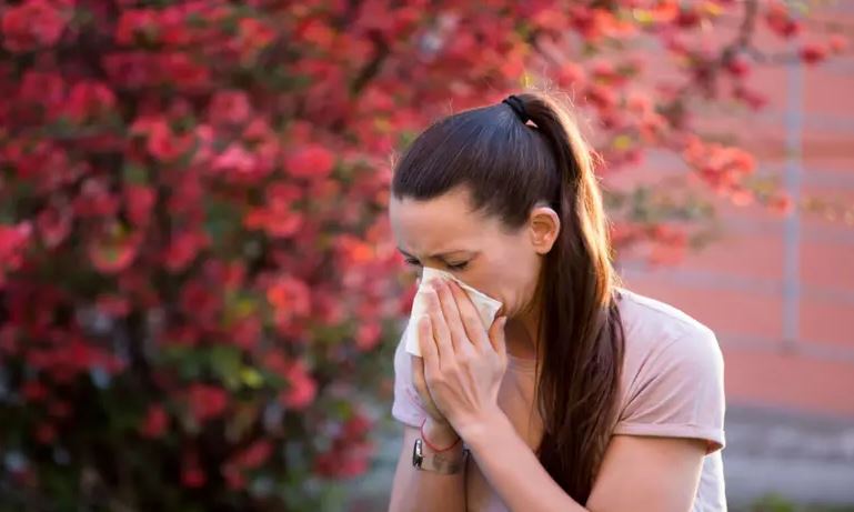 Campos alerta para a prevenção das doenças de primavera