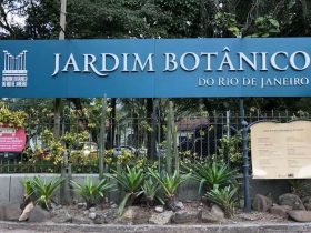 Jardim Botânico do Rio promove Semana do Cerrado