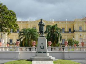 Seis anos após incêndio, Museu Nacional faz apelo por doações