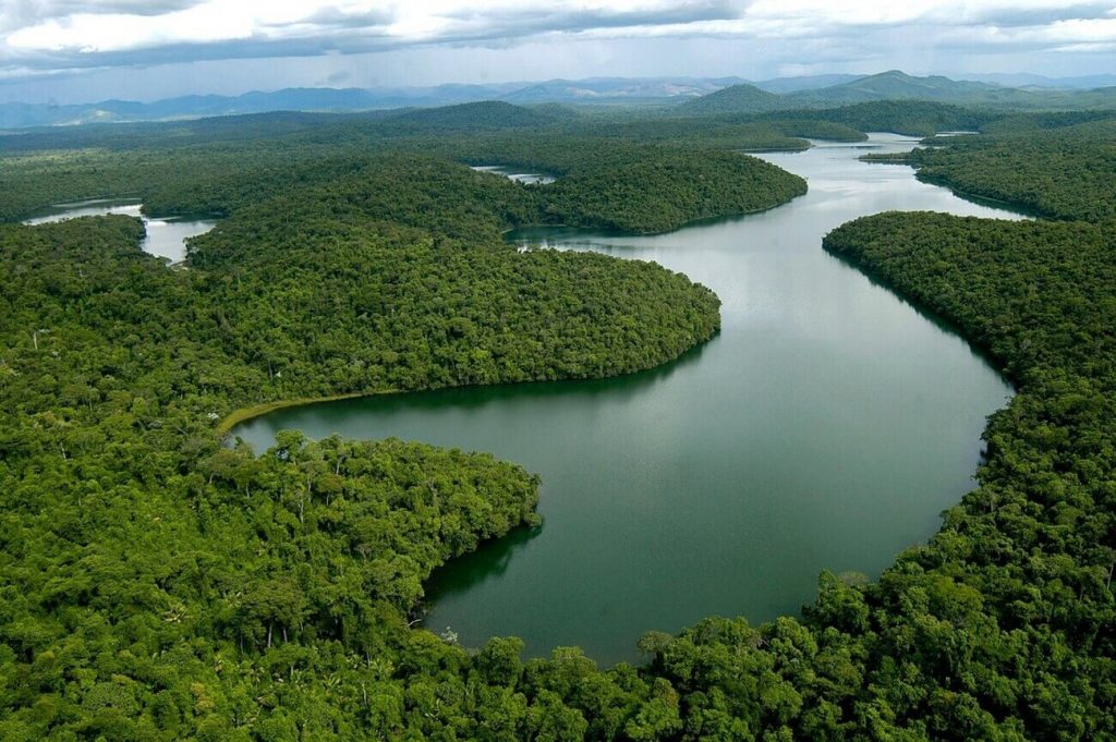 Meio ambiente, enfim uma causa comum?