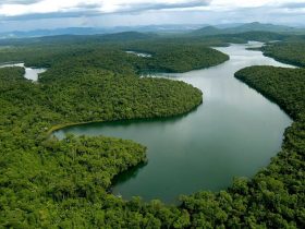 Meio ambiente, enfim uma causa comum?