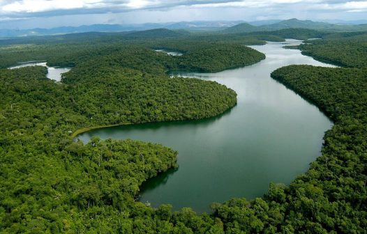 Meio ambiente, enfim uma causa comum?