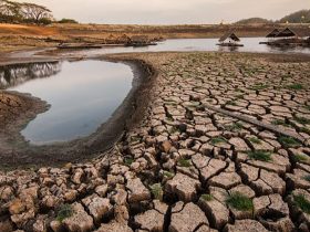 Mural do Clima desperta consciência sobre mudanças climáticas