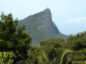 Parques do RJ são fechados à visitação devido a incêndios florestais