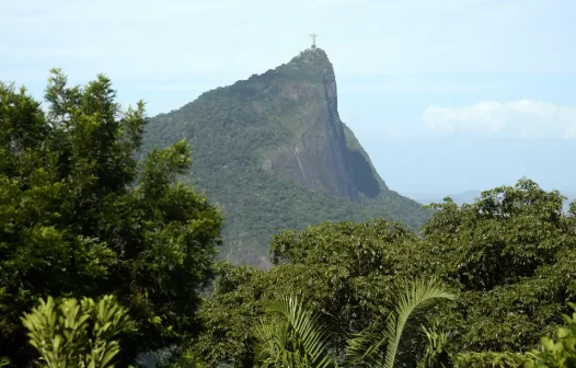 Parques do RJ são fechados à visitação devido a incêndios florestais