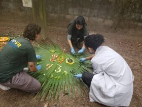 Zoológico de Volta Redonda celebra 43 anos