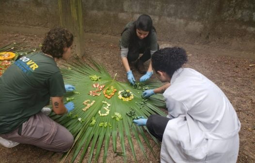 Zoológico de Volta Redonda celebra 43 anos