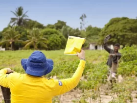 Correios: concurso com 3,5 mil vagas e salários de até R$6,8 mil