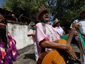 Editais vão investir mais de R$ 23 milhões no Carnaval do estado