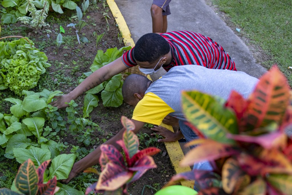 Agricultura: projeto de Macaé escolhido em mapeamento nacional