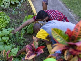 Agricultura: projeto de Macaé escolhido em mapeamento nacional