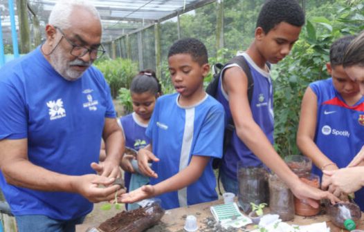 Projeto incentiva cultivo de hortaliças em São Pedro da Aldeia