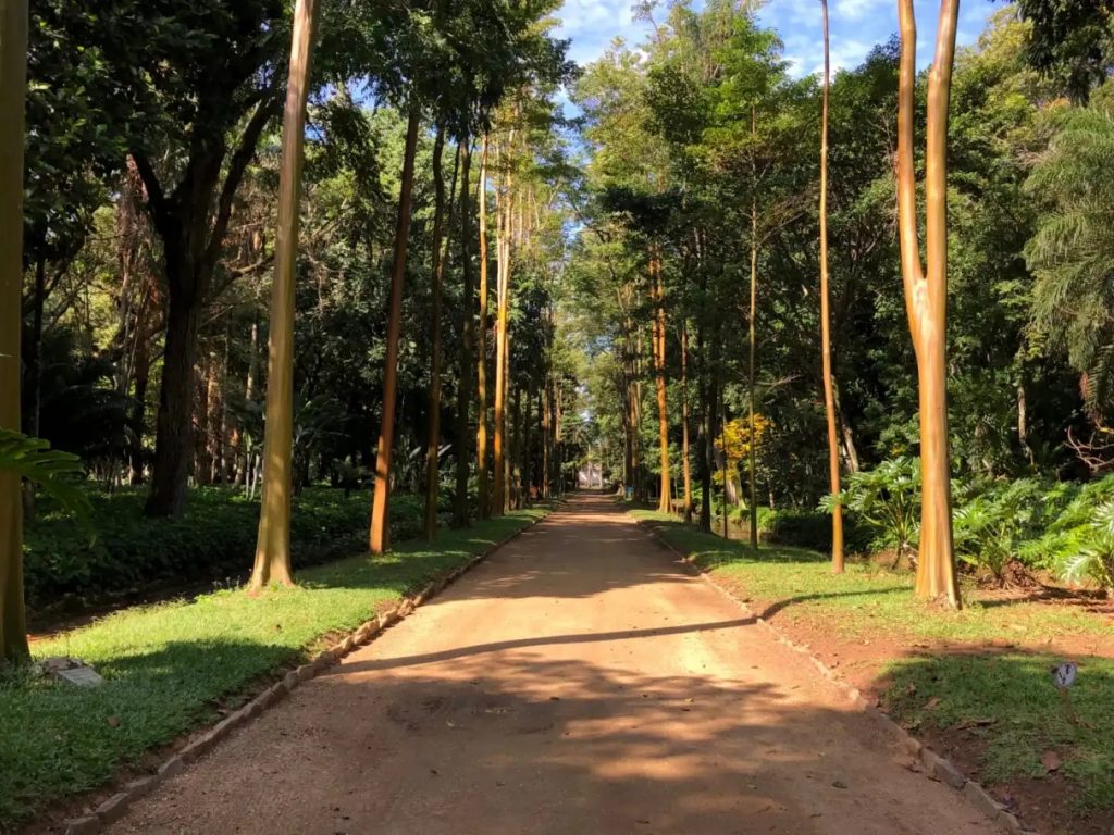 Trilha das Crianças é atração do Jardim Botânico do Rio