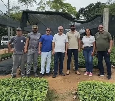 IFF produz 160 mil mudas de café para doação