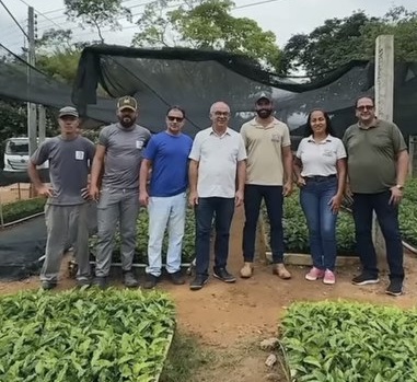 IFF produz 160 mil mudas de café para doação