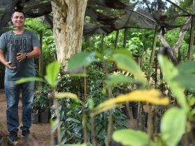 Coleta Seletiva avança em escolas de Campos