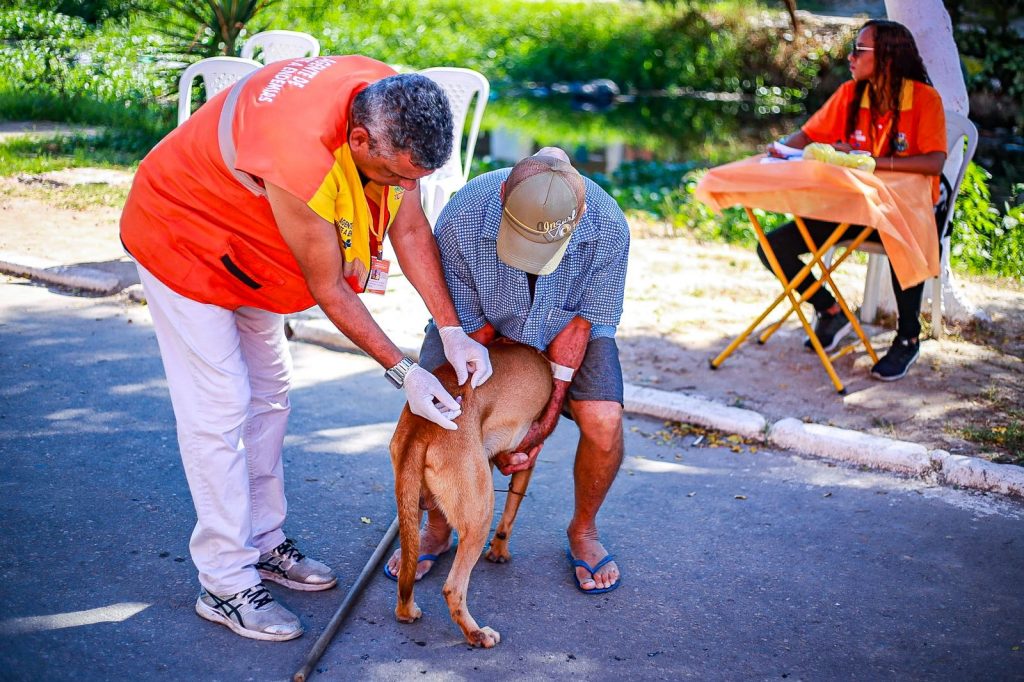 Belford Roxo imuniza 1.689 animais contra raiva