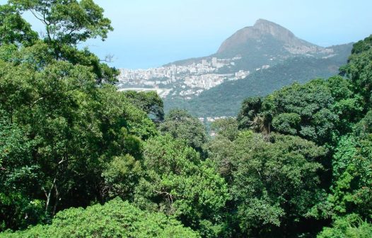 ICMS Ecológico: Governo do RJ distribui R$240 milhões para prefeituras