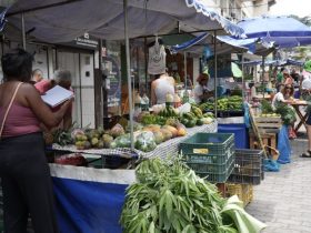 Feira da Agricultura de São Gonçalo incentiva produção local