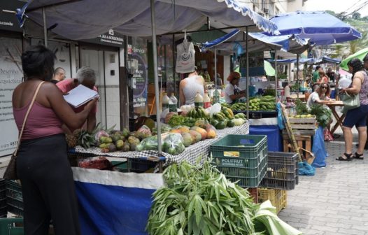 Feira da Agricultura de São Gonçalo incentiva produção local