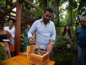 Zoológico Municipal de Volta Redonda inaugura meliponário