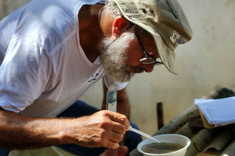 Campos alerta para o sorotipo 3 da dengue