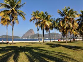 Aterro do Flamengo: 60 anos e a necessidade de um Plano Diretor