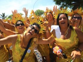 Carnaval 2025 terá três palcos e blocos em Rio das Ostras